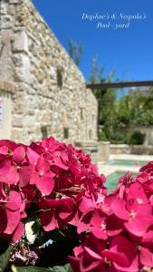 um ramo de flores cor-de-rosa em frente a um edifício de pedra em Carpofoli Corfu em Corfu Town