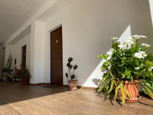 Fotografie z fotogalerie ubytování Agriturismo Torre Ercolana v destinaci Anagni