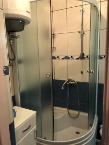 Phòng tắm tại Ozrenska bašta apartmani