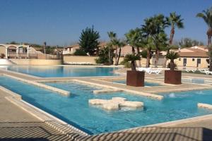 een zwembad met blauw water en palmbomen bij Maison dans village vacances in Portiragnes