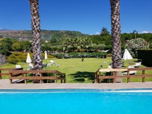 een zwembad met twee banken en een gazon met palmbomen bij Agriturismo Le Case Di Civi in Mascali
