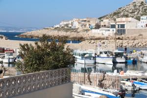 uitzicht op een jachthaven met boten in het water bij Charmant Cabanon aux Goudes à Marseille avec vue mer in Marseille