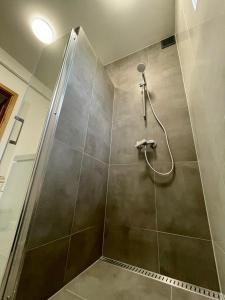 een douche met een glazen deur in de badkamer bij Komfortowe Apartamenty w Nałęczowie in Nałęczów