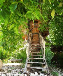 una escalera que conduce a una casa en el árbol en Areni House B&B, en Areni