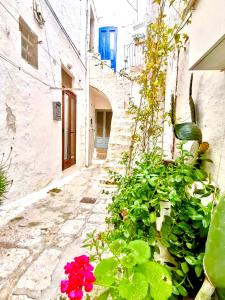 Vonkajšia záhrada v ubytovaní WHITE STONE- La Terrazza