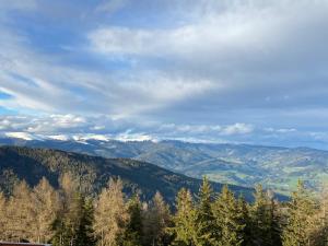 Paesaggio naturale nelle vicinanze dell'appartamento