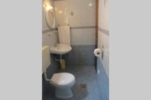 a bathroom with a toilet and a sink at Orhideja Apartment in Lukoran +28 photos