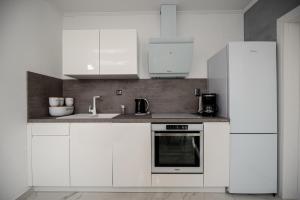 Kuchyň nebo kuchyňský kout v ubytování Apartman Marta