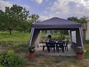 a gazebo with chairs and a table and a grill at Ferienwohnungen in der Uckermark in Schönermark