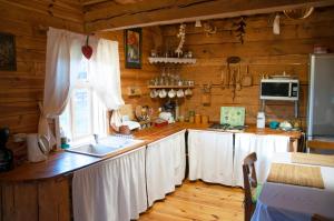eine Küche mit Holzwänden und einer Theke mit einer Spüle in der Unterkunft Chata Łońska in Pułtusk