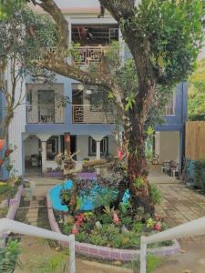 a garden in front of a house with a tree at Purple Orchid Bed and Breakfast in Tagaytay