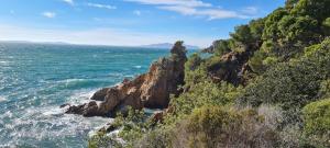 Phong cảnh thiên nhiên gần căn hộ