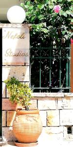 Gallery image of Nefeli Studios in Loutra Edipsou