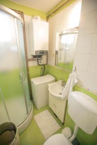 a green and white bathroom with a sink and a toilet at Cosy Apartment Hugo in Osijek