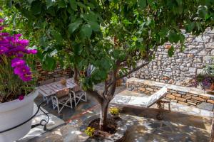 A garden outside The Backyard Fisherman's House