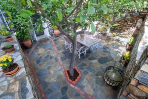 A garden outside The Backyard Fisherman's House