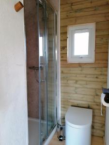 Phòng tắm tại Dryw bach glamping hut