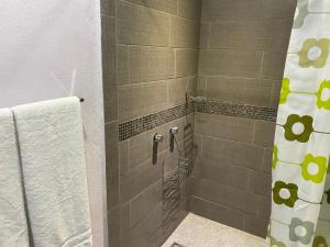 eine Dusche im Bad mit Duschvorhang in der Unterkunft Hotel San Carlos in Valle de Bravo