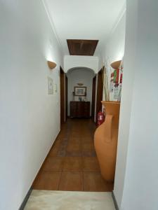 a hallway with white walls and a vase at Quartos de Vidigueira in Vidigueira