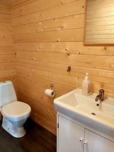 y baño con aseo y lavamanos. en Bakkakot 3 Cozy Cabin In The Woods, en Akureyri