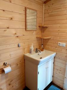 a bathroom with a sink and a mirror at Bakkakot 3 Cozy Cabin In The Woods in Akureyri