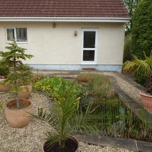 un jardín frente a una casa con plantas en Annexe in Cherhill, opposite Cherhill White Horse, en Cherhill