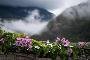 a bunch of pink flowers on a wall with mountains at Hosteria Llanovientos in Baños