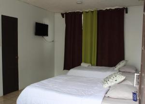 Voodi või voodid majutusasutuse Hotel Cañas toas