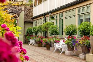 A garden outside Step House Hotel