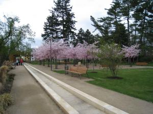 Zahrada ubytování Lazensky Hotel Park