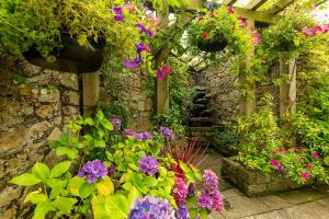 A garden outside Step House Hotel