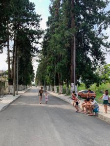 Fotografie z fotogalerie ubytování Tamari v destinaci Ureki