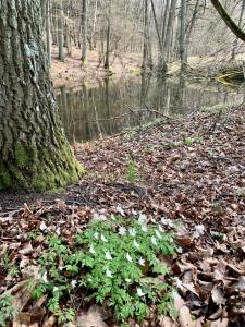 Príroda v okolí apartmánu
