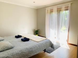 ein Schlafzimmer mit einem Bett und einem großen Fenster in der Unterkunft Happy Ria House in Chousa Velha