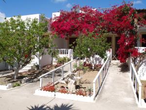 ein Garten vor einem Haus mit rosa Blumen in der Unterkunft Scarpantos in Amoopi