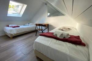 um quarto com duas camas e um gato deitado numa cama em Tiny House - town house in the centre of Annecy terrace & air conditioning em Annecy