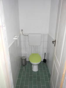 a bathroom with a green toilet with a green floor at Merum Pincészet és Vendégszoba in Tállya +20 photos