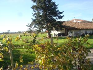 ein Haus auf einem Feld mit einem Baum im Vordergrund in der Unterkunft Location gîte 4 personnes Mazères - La Petite Maison in Mazères