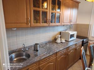 eine Küche mit einer Spüle und einer Mikrowelle in der Unterkunft Főtér Apartman in Szarvas