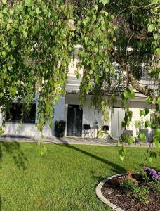 un patio de una casa blanca con césped verde en Apartment nähe Ettlingen - 15 min zur Messe Karlsruhe en Malsch