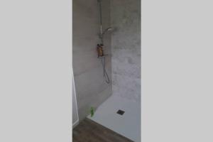 Ένα μπάνιο στο Grande maison avec parc et SPA +29 φωτογραφίες