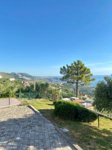 a stone walkway with a tree and the ocean in the background at B&B Saracinello in Praia a Mare