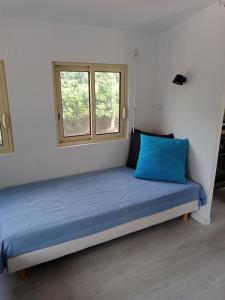 a bed with blue pillows in a room with a window at Chalet Var Canebières in Le Muy