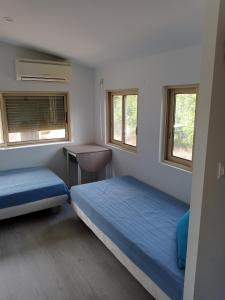 1 Schlafzimmer mit 2 Betten, einem Schreibtisch und 2 Fenstern in der Unterkunft Chalet Var Canebières in Le Muy