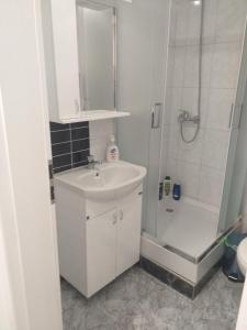 a white bathroom with a sink and a shower at Apartmani Loznica in Loznica