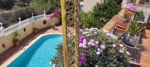 an overhead view of a swimming pool with flowers at Villa Castillo Nuevo with optional Heated Private Pool in San Miguel de Salinas