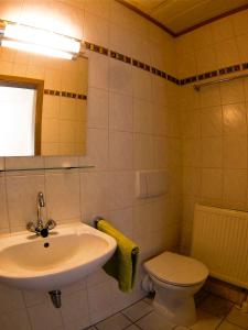 a bathroom with a sink and a toilet at Landgasthof "Am Park" in Crottendorf