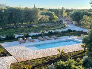 an overhead view of a swimming pool in a garden with chaises at Relais Grottone in Ostuni