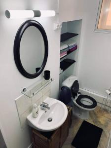 La salle de bains est pourvue d'un lavabo, de toilettes et d'un miroir. dans l'établissement Appartement avec terrasse privative, à Celles-sur-Plaine