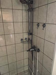 La salle de bains est pourvue d'une douche avec un pommeau de douche. dans l'établissement Appartement avec terrasse privative, à Celles-sur-Plaine